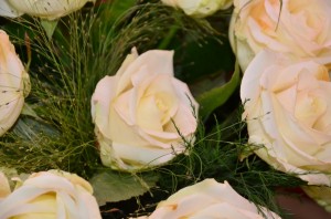 Produkte und Laden (11)